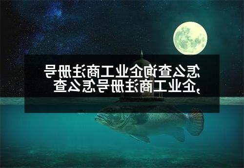 怎么查询企业工商注册号,企业工商注册号怎么查