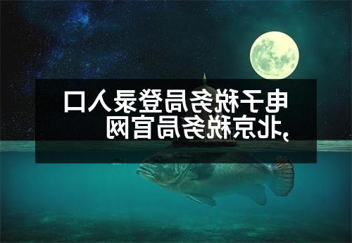 电子税务局登录入口,北京税务局官网