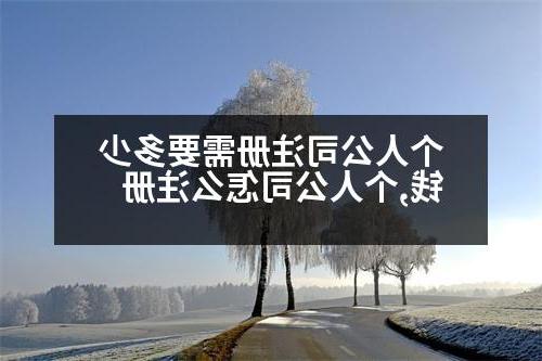 个人公司注册需要多少钱,个人公司怎么注册