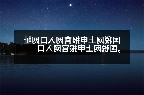 国税网上申报官网入口网址,国税网上申报官网入口