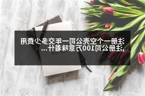 注册一个空壳公司一年交多少费用,威尼斯人官网100万意味着什么