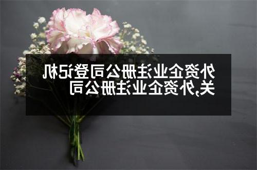 外资企业威尼斯人官网登记机关,外资企业威尼斯人官网