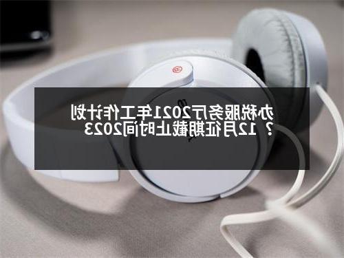 办税服务厅2021年工作计划？12月征期截止时间2023