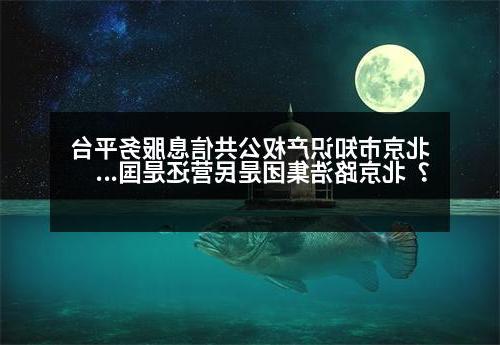 北京市知识产权公共信息服务平台？北京路浩集团是民营还是国企