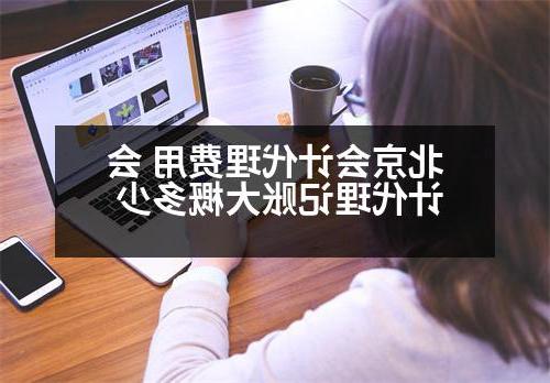 北京会计代理费用 会计代理记账大概多少