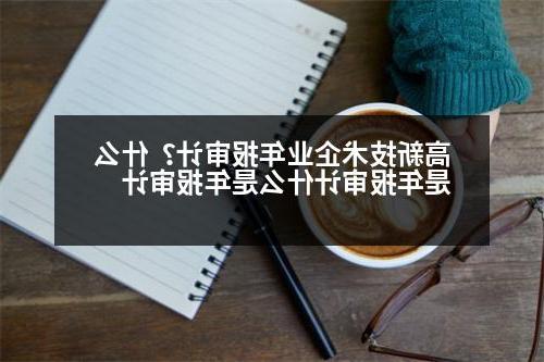 高新技术企业年报审计？什么是年报审计什么是年报审计