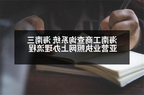 海南工商查询系统 海南三亚营业执照网上办理流程