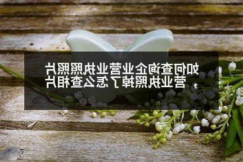 如何查询企业营业执照照片，营业执照掉了怎么查相片