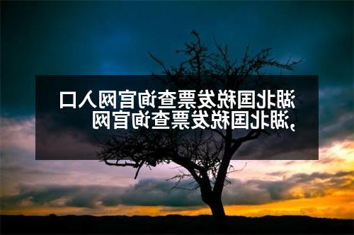 湖北国税发票查询官网入口,湖北国税发票查询官网