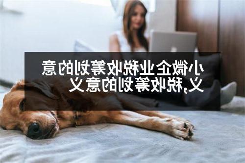 小微企业税收筹划的意义,税收筹划的意义