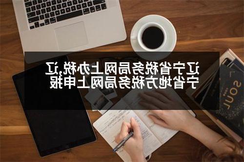 辽宁省税务局网上办税,辽宁省地方税务局网上申报