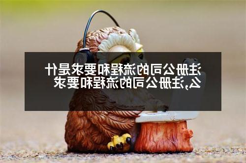 威尼斯人官网的流程和要求是什么,威尼斯人官网的流程和要求