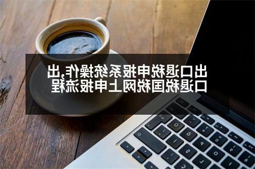 出口退税申报系统操作,出口退税国税网上申报流程