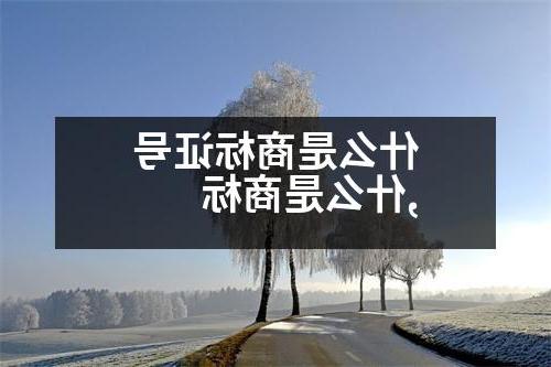 什么是商标证号,什么是商标