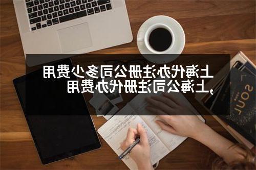 上海代办威尼斯人官网多少费用,上海公司注册代办费用