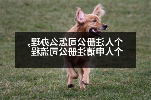 个人威尼斯人官网怎么办理,个人申请威尼斯人官网流程