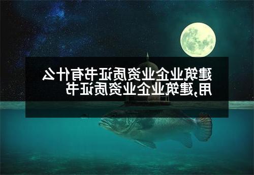 建筑业企业资质证书有什么用,建筑业企业资质证书