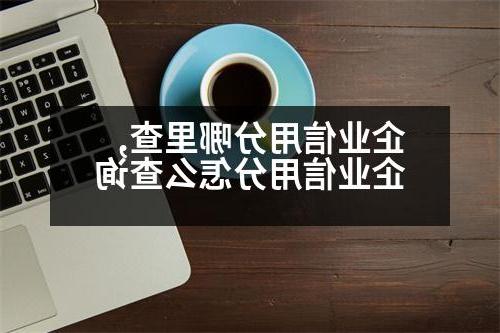 企业信用分哪里查,企业信用分怎么查询