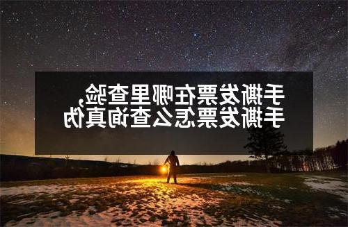 手撕发票在哪里查验,手撕发票怎么查询真伪