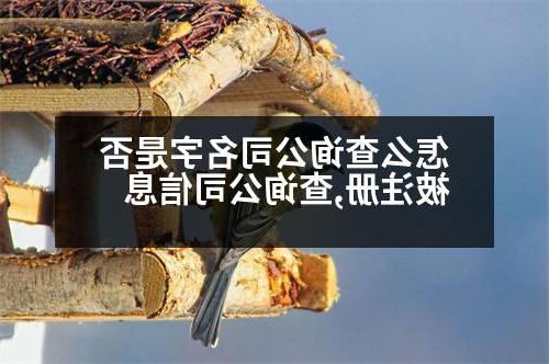 怎么查询公司名字是否被注册,查询公司信息