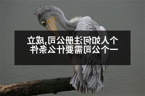 个人如何威尼斯人官网,成立一个公司需要什么条件